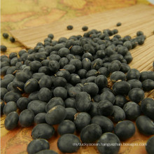 2012 Hot sale Big black bean with yellow kernel